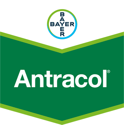 Antracol® WP 70