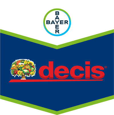 Decis