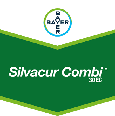 Silvacur Combi® 300 EC