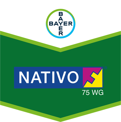 Nativo® 75 WG