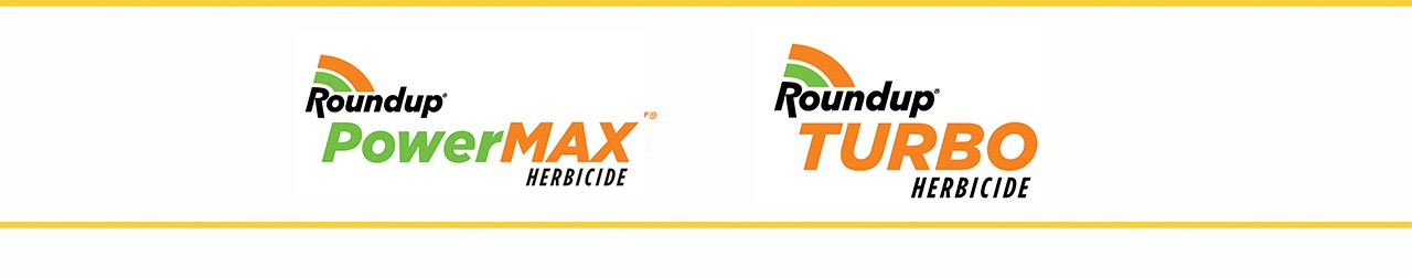 offre roundup ready